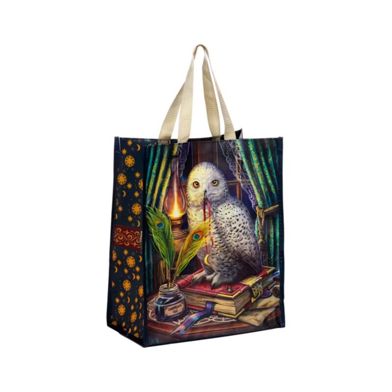 Bolsa de compra reutilizable Guardian of Spells de Lisa Parker